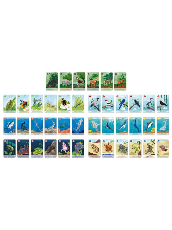 Jeux de 7 familles" le règne animal"