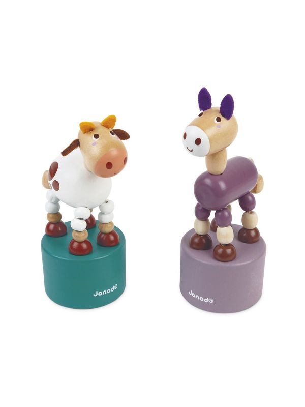 Wacuwa vache et âne