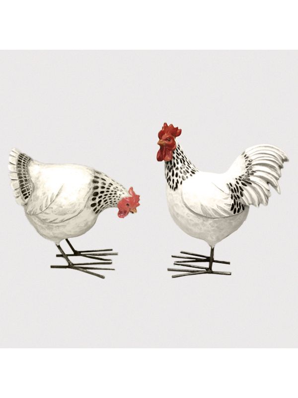 Coq blanc et noir