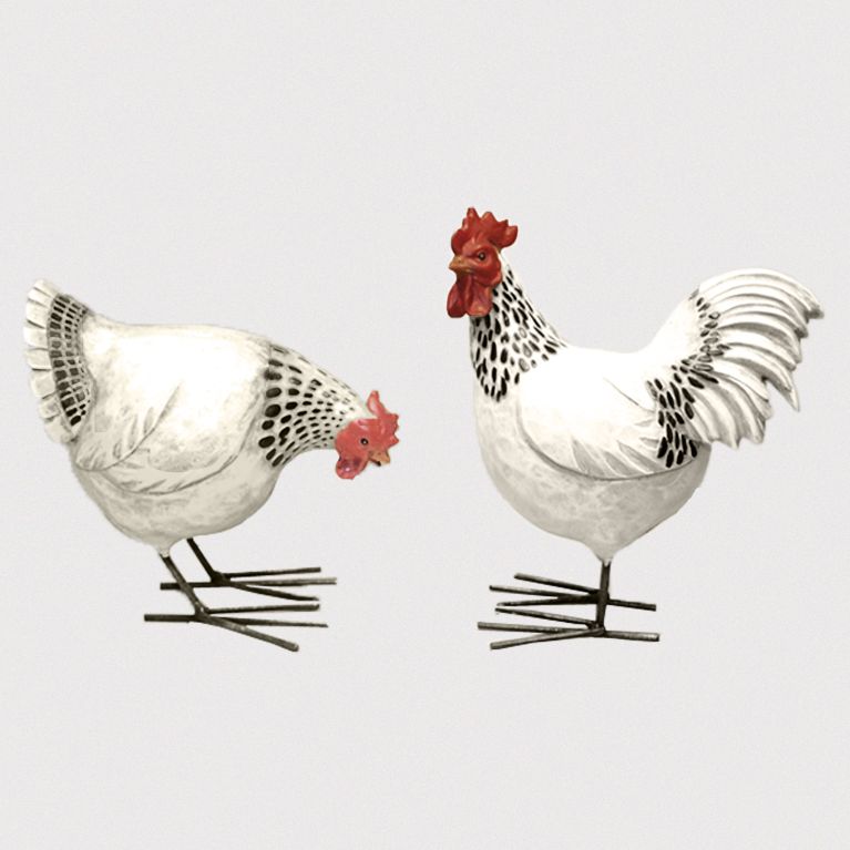Coq blanc et noir Coq blanc et noir