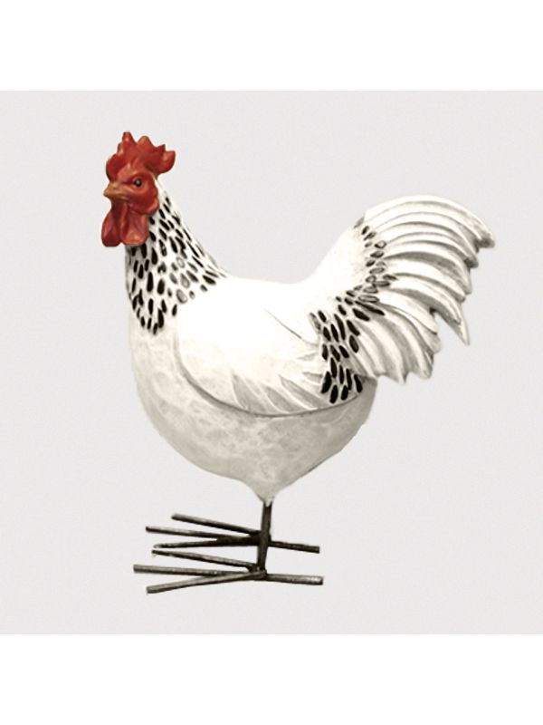 Coq blanc et noir