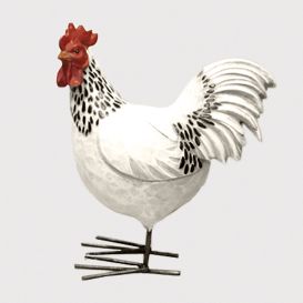 Coq blanc et noir