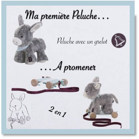 LES AMIS - Doudou Régliss' l'ânon A TRAINER - info