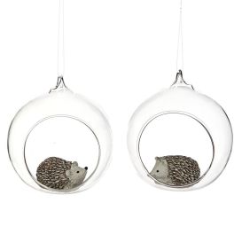 Hérisson dans boule de noël ouverte