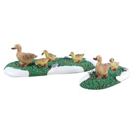 Famille de canard