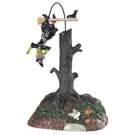 Sorcière et son balai