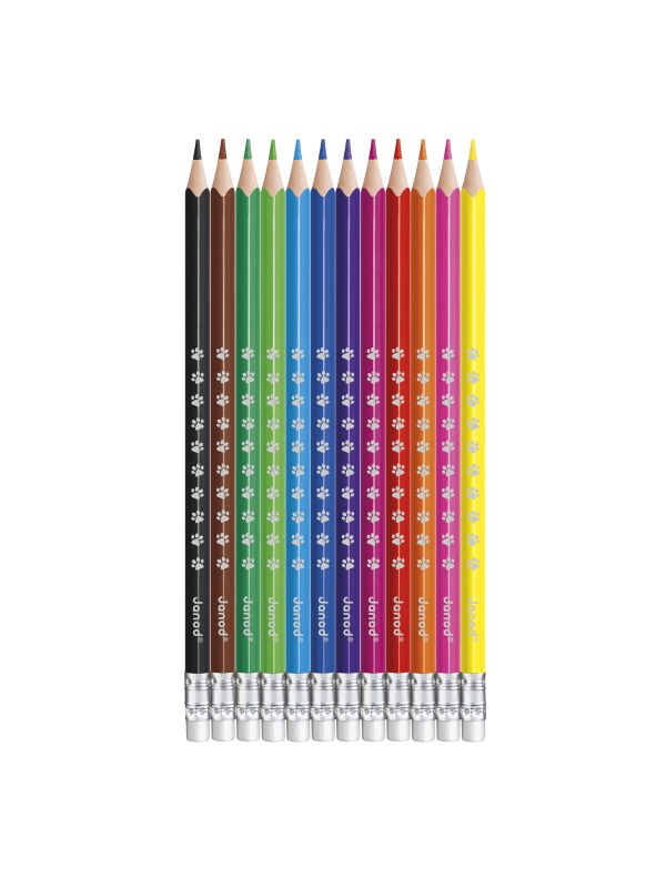 Crayons effaçables x 12