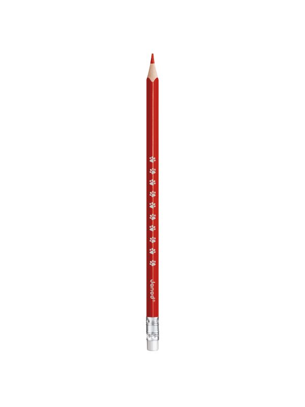 Crayons effaçables x 12