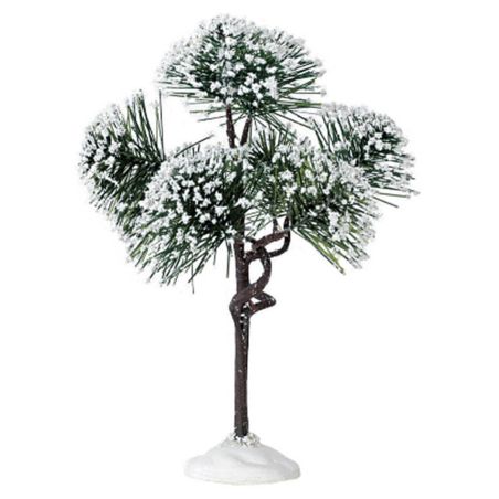 LEMAX 74172 – Arbres Pin des montagnes ~ Moyen