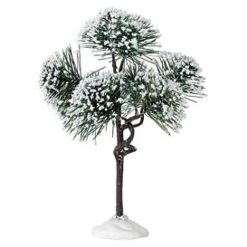 LEMAX 74172 – Arbres Pin des montagnes ~ Moyen