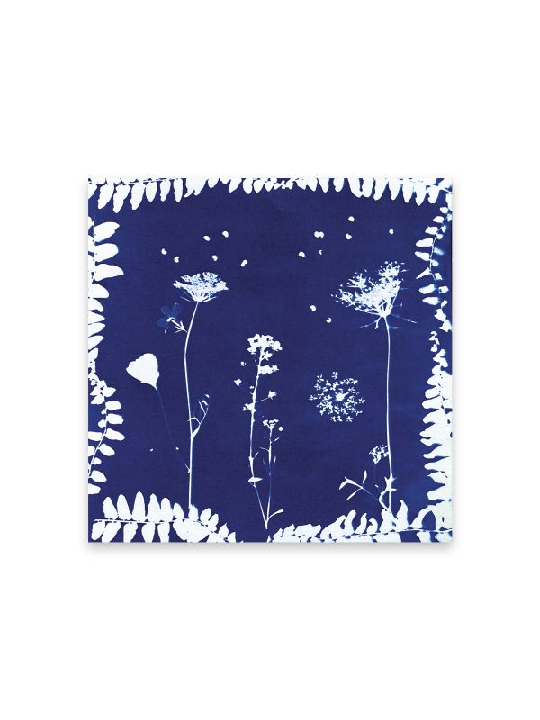 Kit créatif  presse à fleurs multi activités  7+