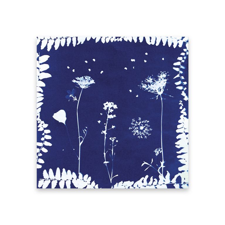 Kit créatif  presse à fleurs multi activités  7+