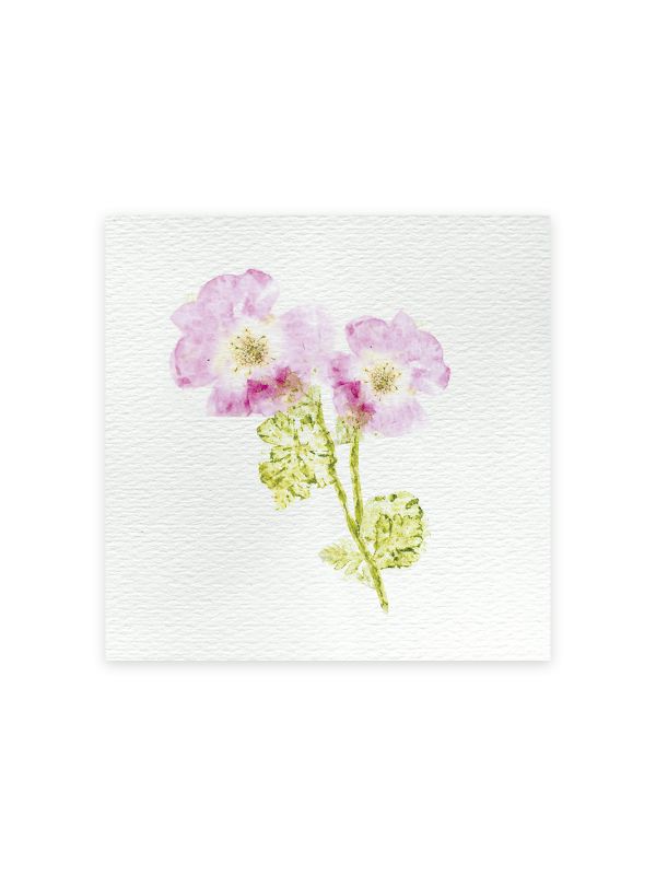 Kit créatif  presse à fleurs multi activités  7+