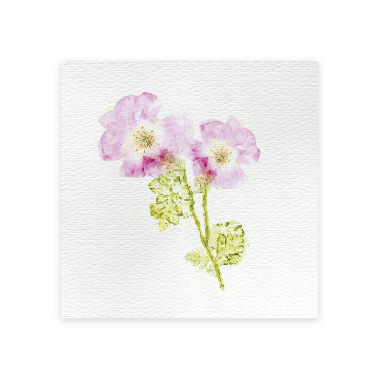 Kit créatif  presse à fleurs multi activités  7+