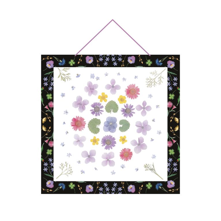 Kit créatif  presse à fleurs multi activités  7+