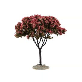 Arbre Tilleul - Moyen