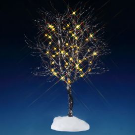 Arbre Noyer cendré - Lumière blanche