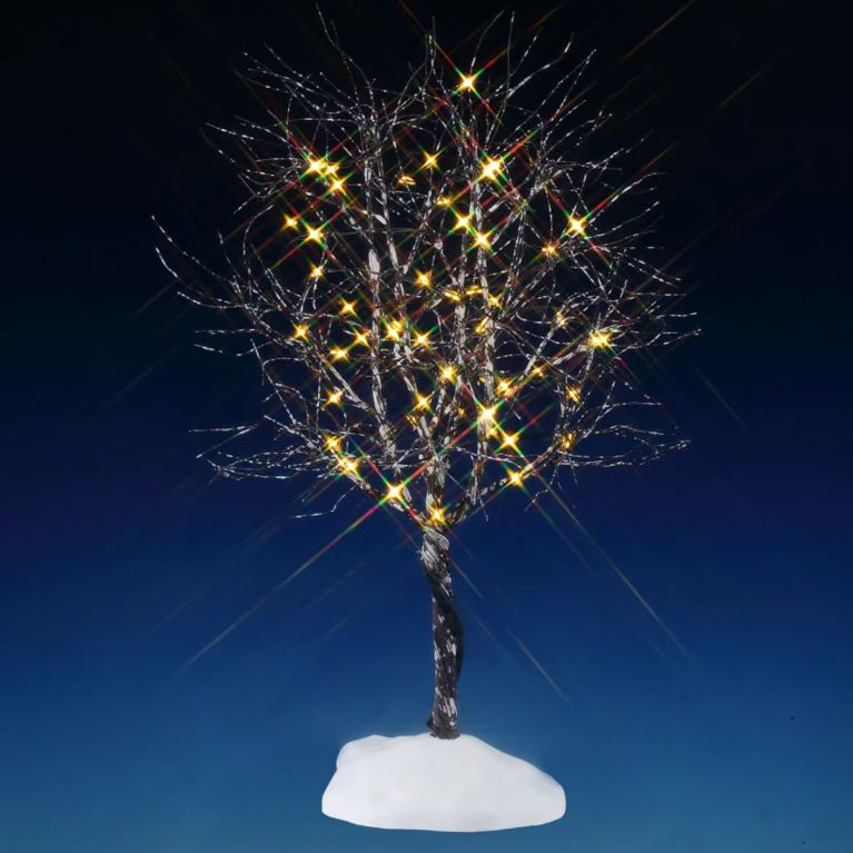 Arbre Noyer cendré - Lumière blanche