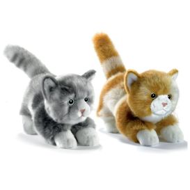 Peluche chat joueur