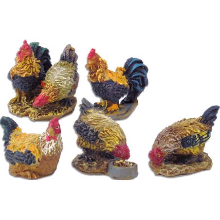 Poules et coq Brahma