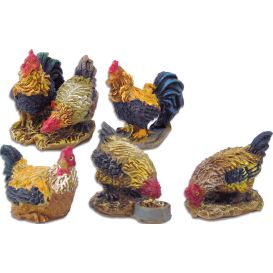Poules et coq Brahma
