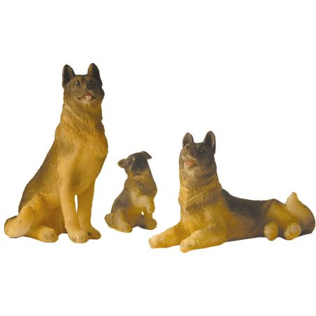 Famille de chien