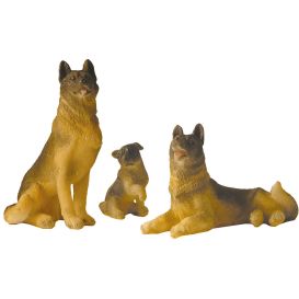 Famille de chien
