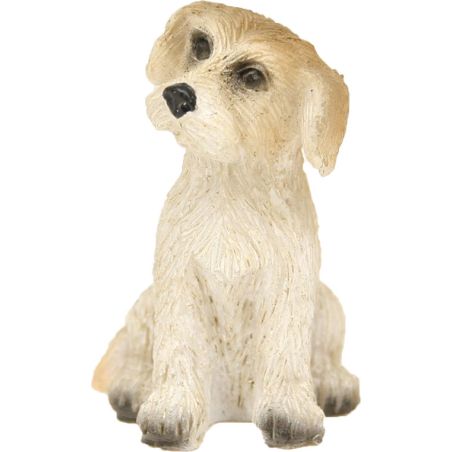 Chien à poil long