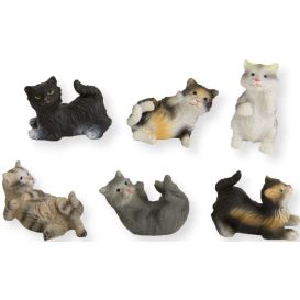 La colonie de chats