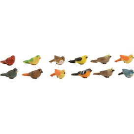 Oiseaux multicouleurs sur une tige