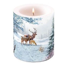 Petite bougie non parfumée - Famille en foret