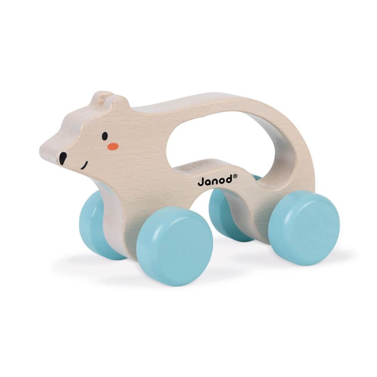 Ours polaire à promener