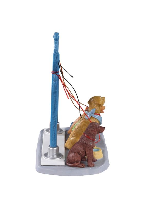 Stationnement pour chien