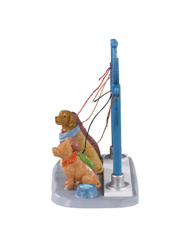 Stationnement pour chien