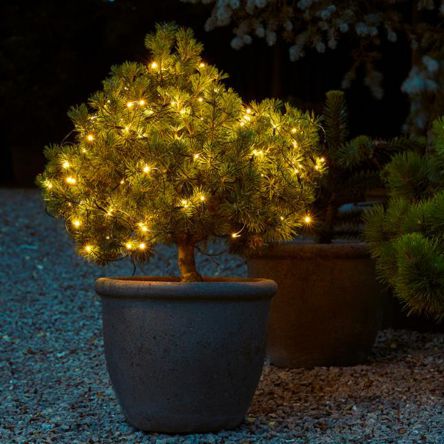 Guirlande filet 100 led blanc chaud