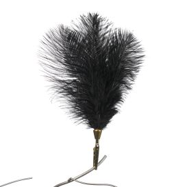 Plume noir à clips
